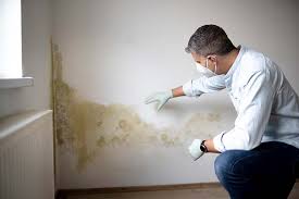 Best Mold Removal for HVAC Installations  in Elizabethville, PA